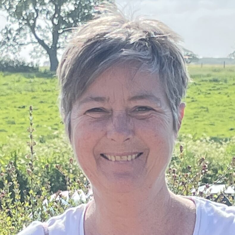 Lisa Wallis